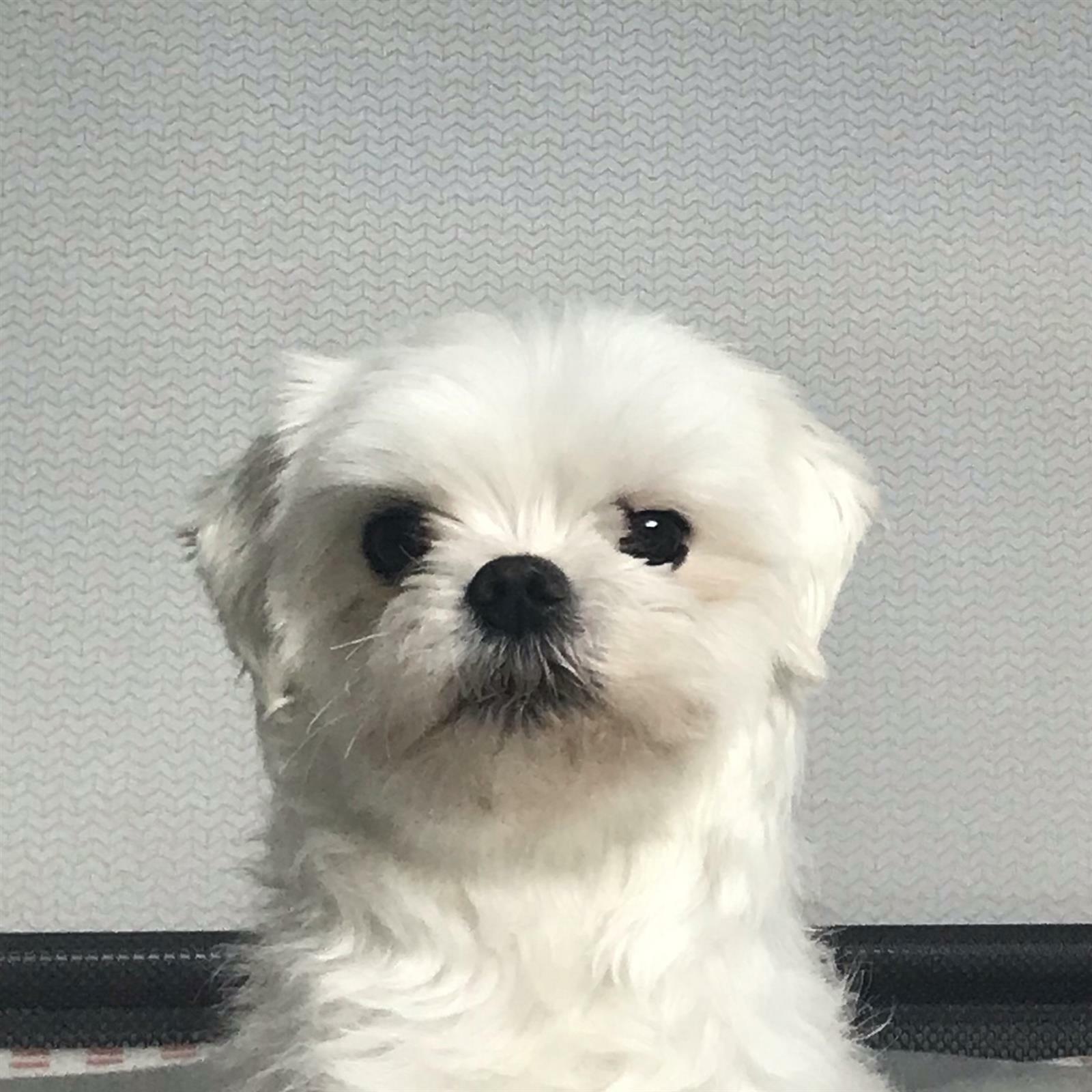 이찬미님의 서재
