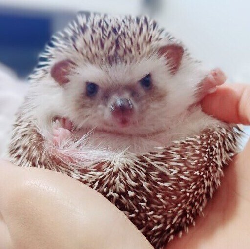 nowyan님의 서재