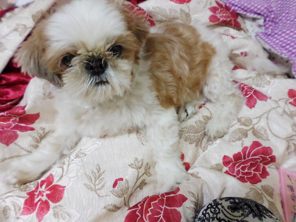 ㅡ