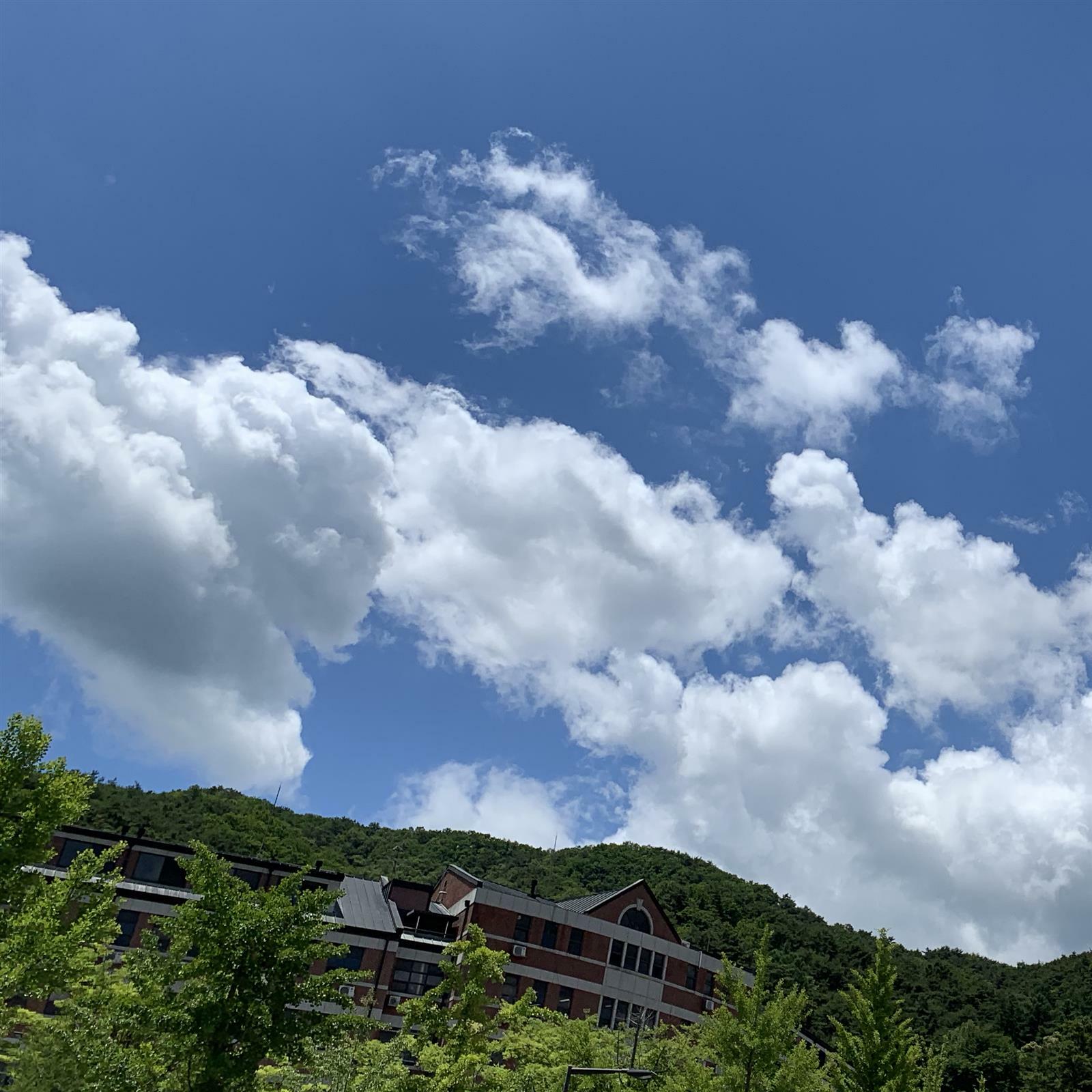 숲 속 도서관