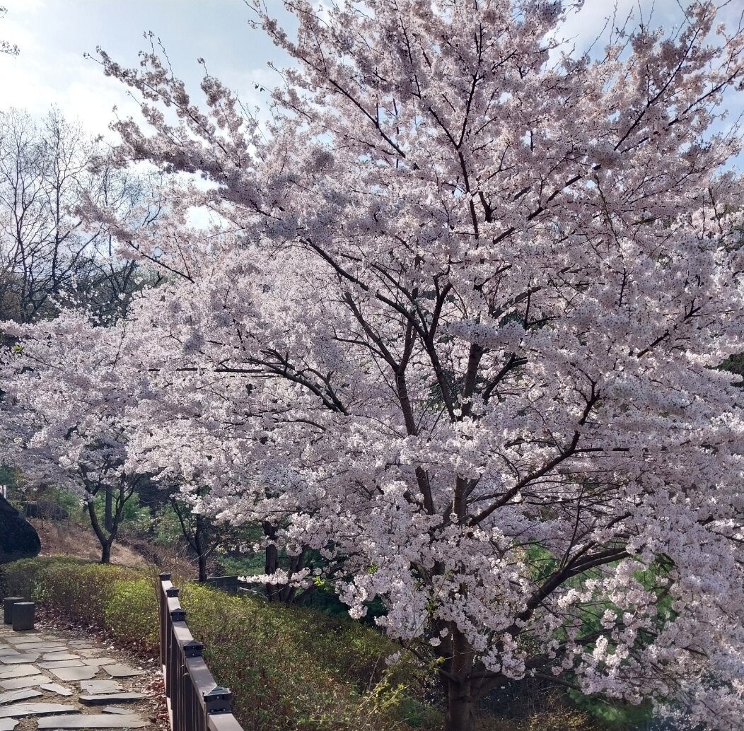 cool님의 서재