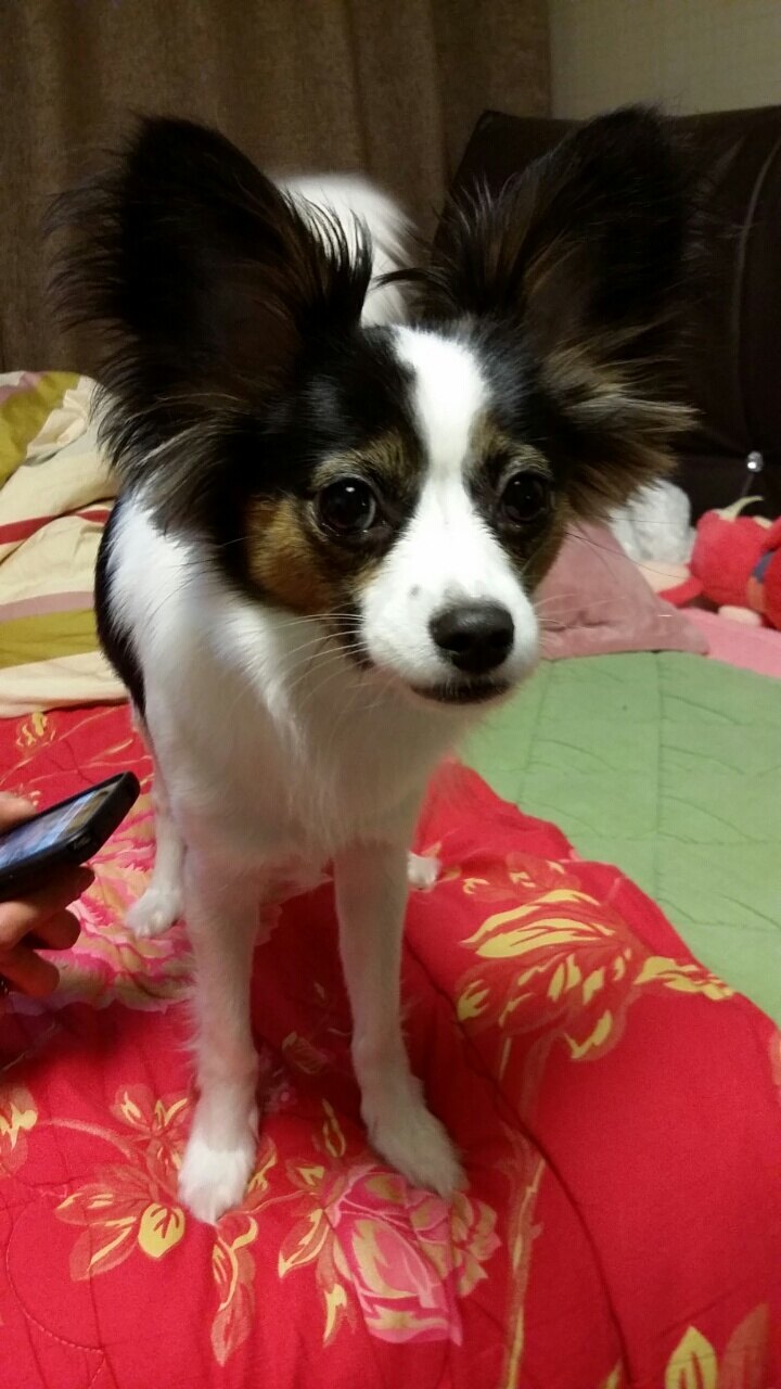 거니녕님의 서재