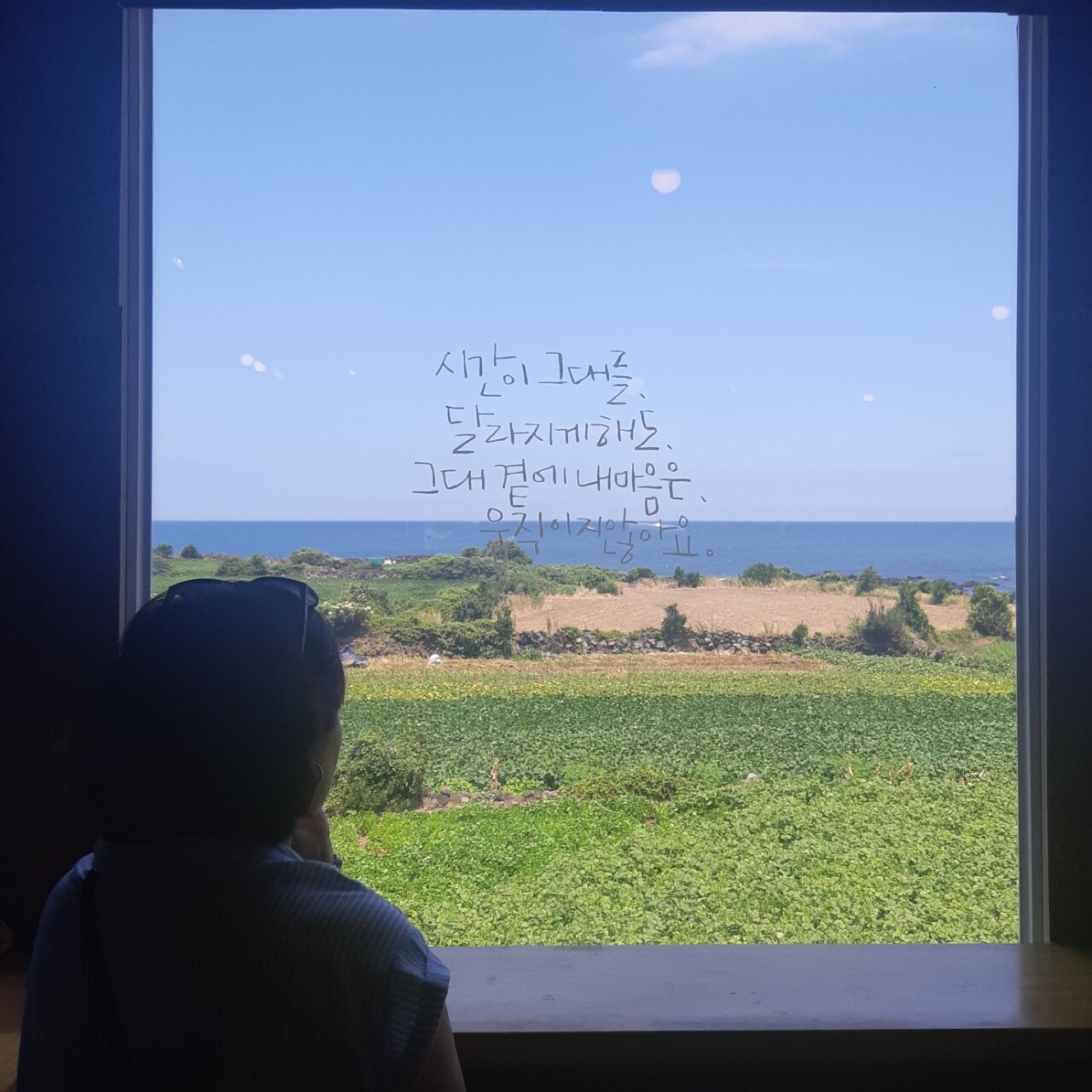 콩이의 동화 나라