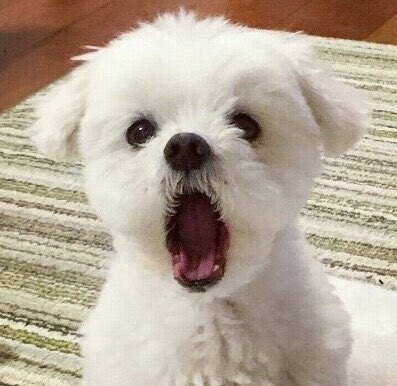 조용한 서재