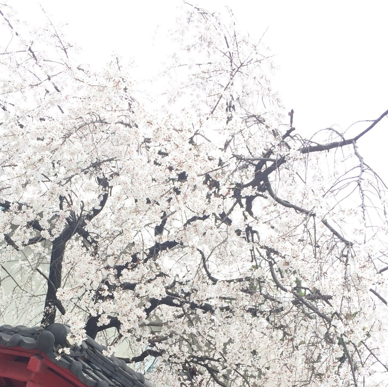 ruddjs5000님의 서재