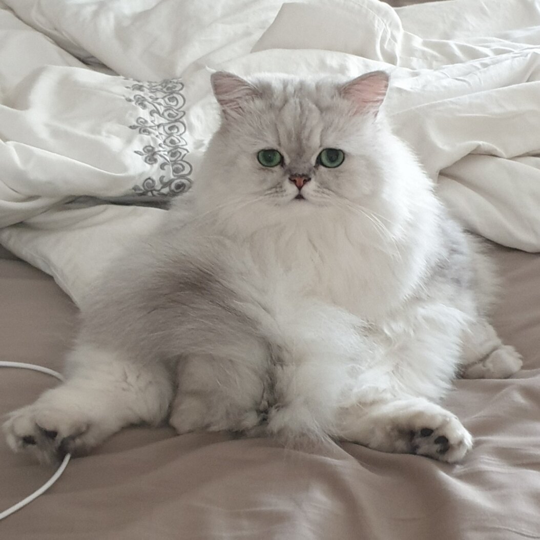 볼빨간레몬님의 서재