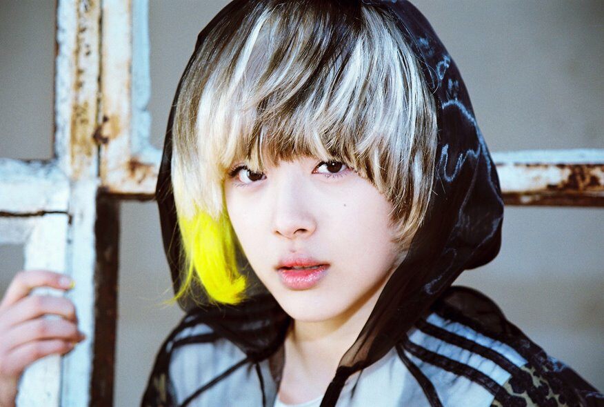 연정님의 서재