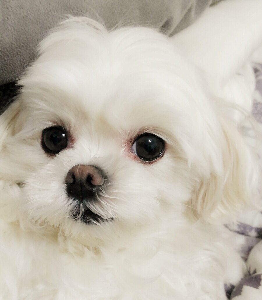 831014님의 서재