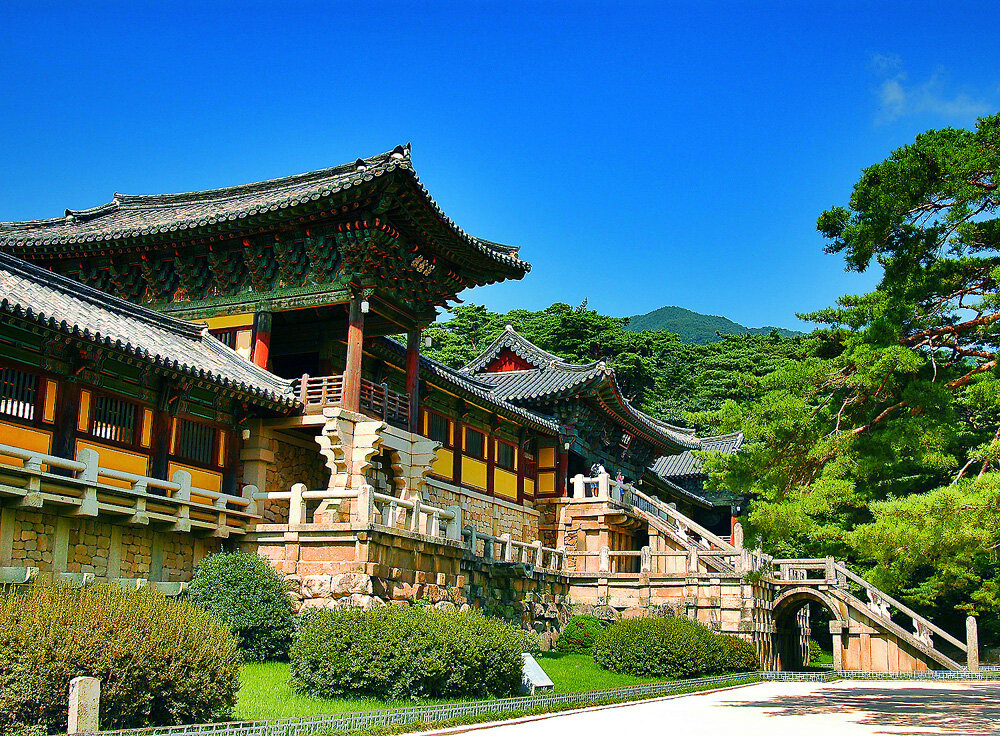 관송님의 서재