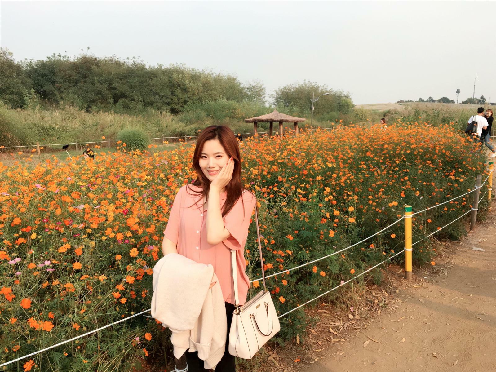 이아나님의 서재