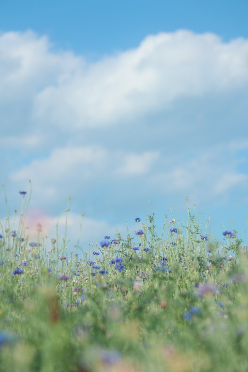 iammsh5님의 서재