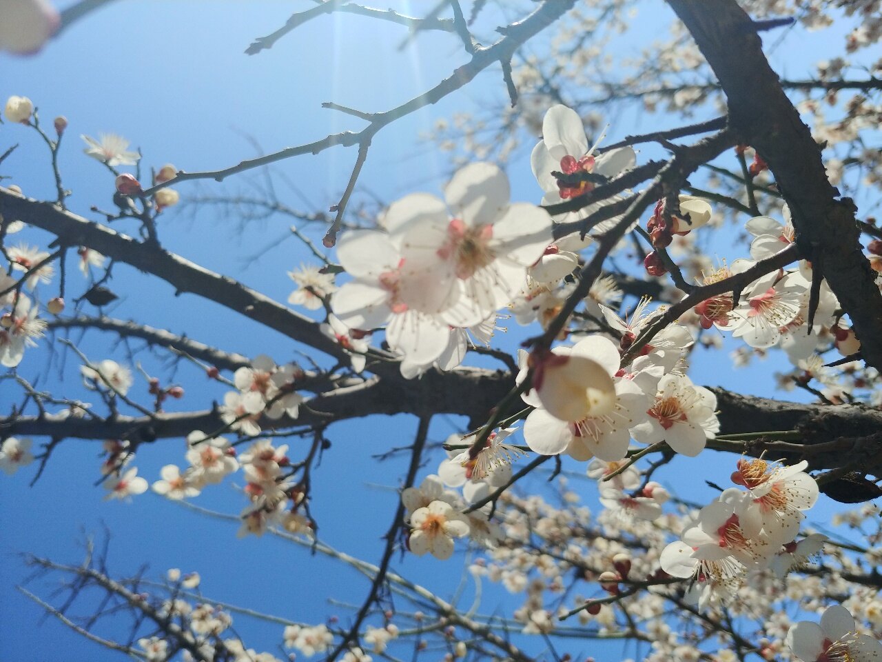 이윤주님의 서재