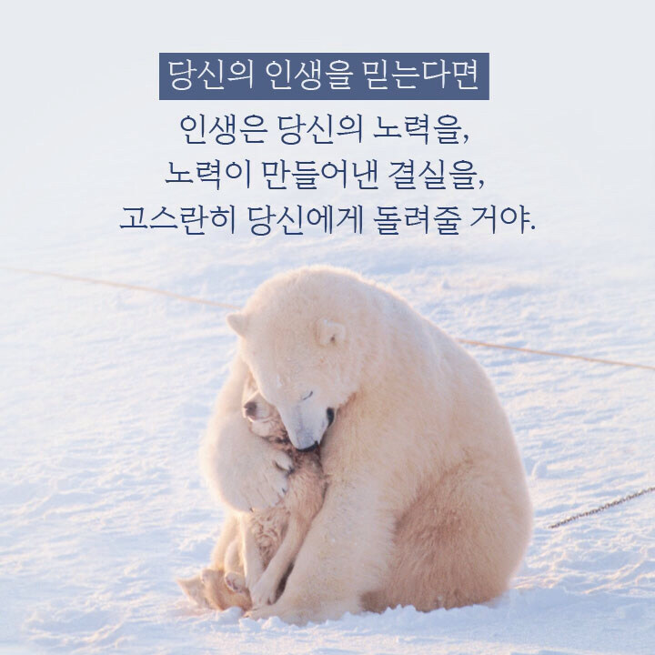 난 아직도 로맨스를 꿈꾼다