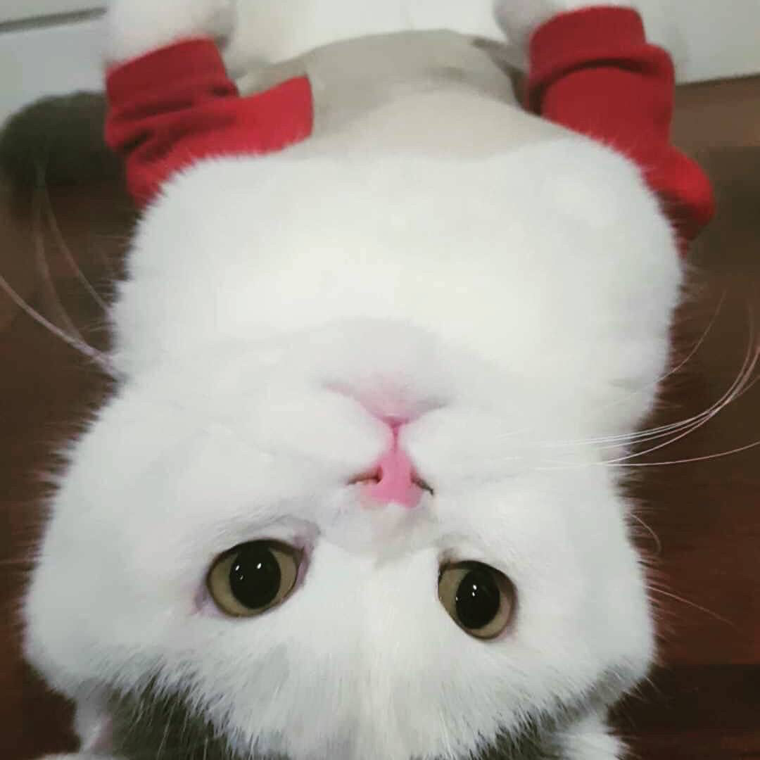 문주영님의 서재
