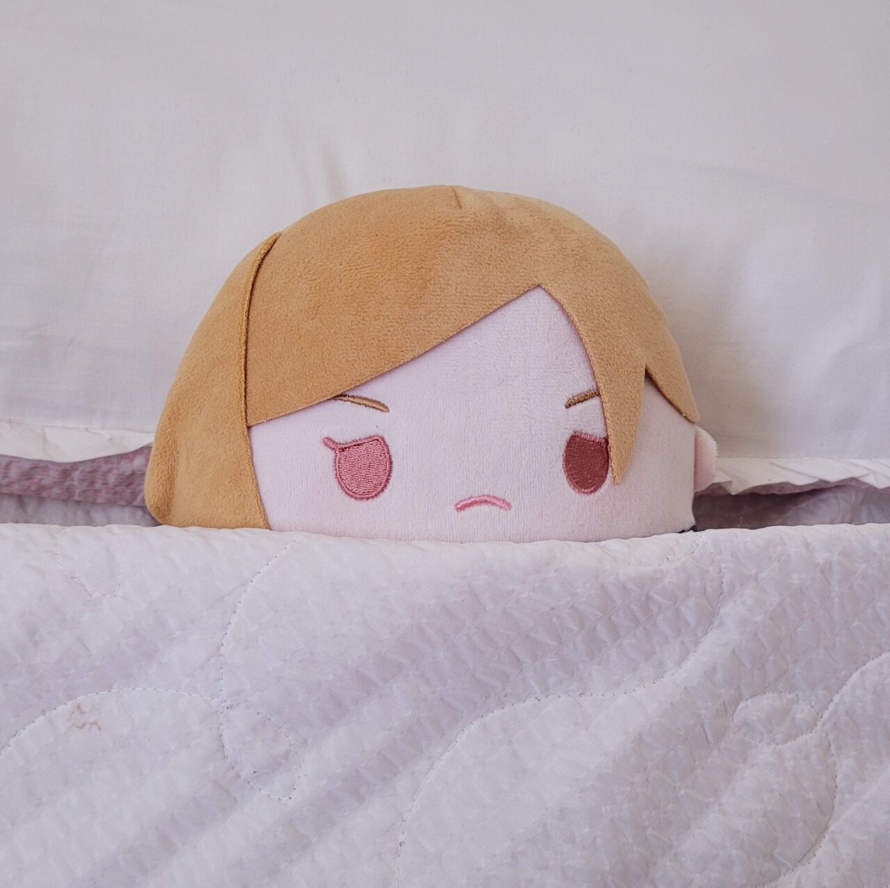서재에 노바라를 곁들인