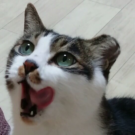 윤은정님의 서재