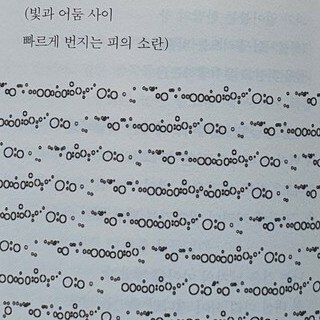스노우님의 서재