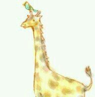 kirin79님의 서재