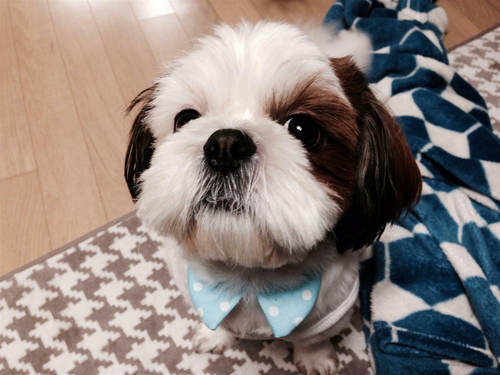 경은님의 서재