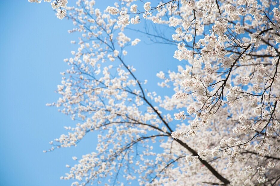 이디나