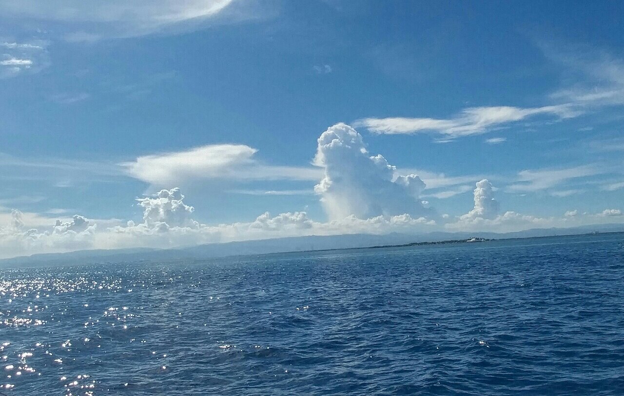 silverh727님의 서재