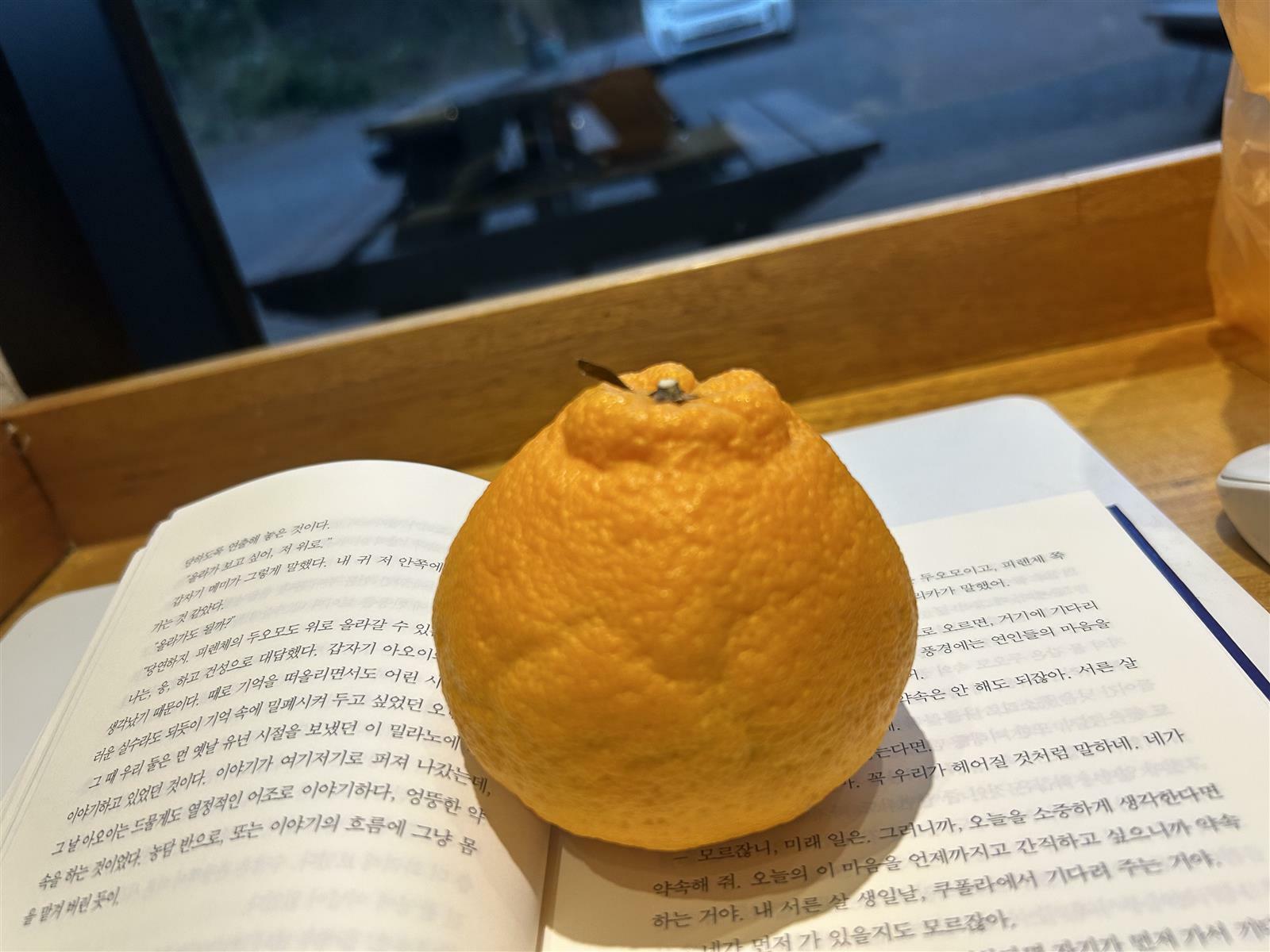 rkawkdhkd12의 서재