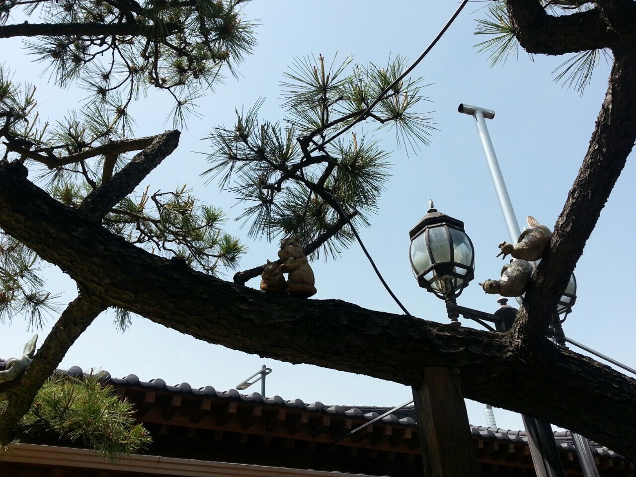 푸르미원주의 책꼬지