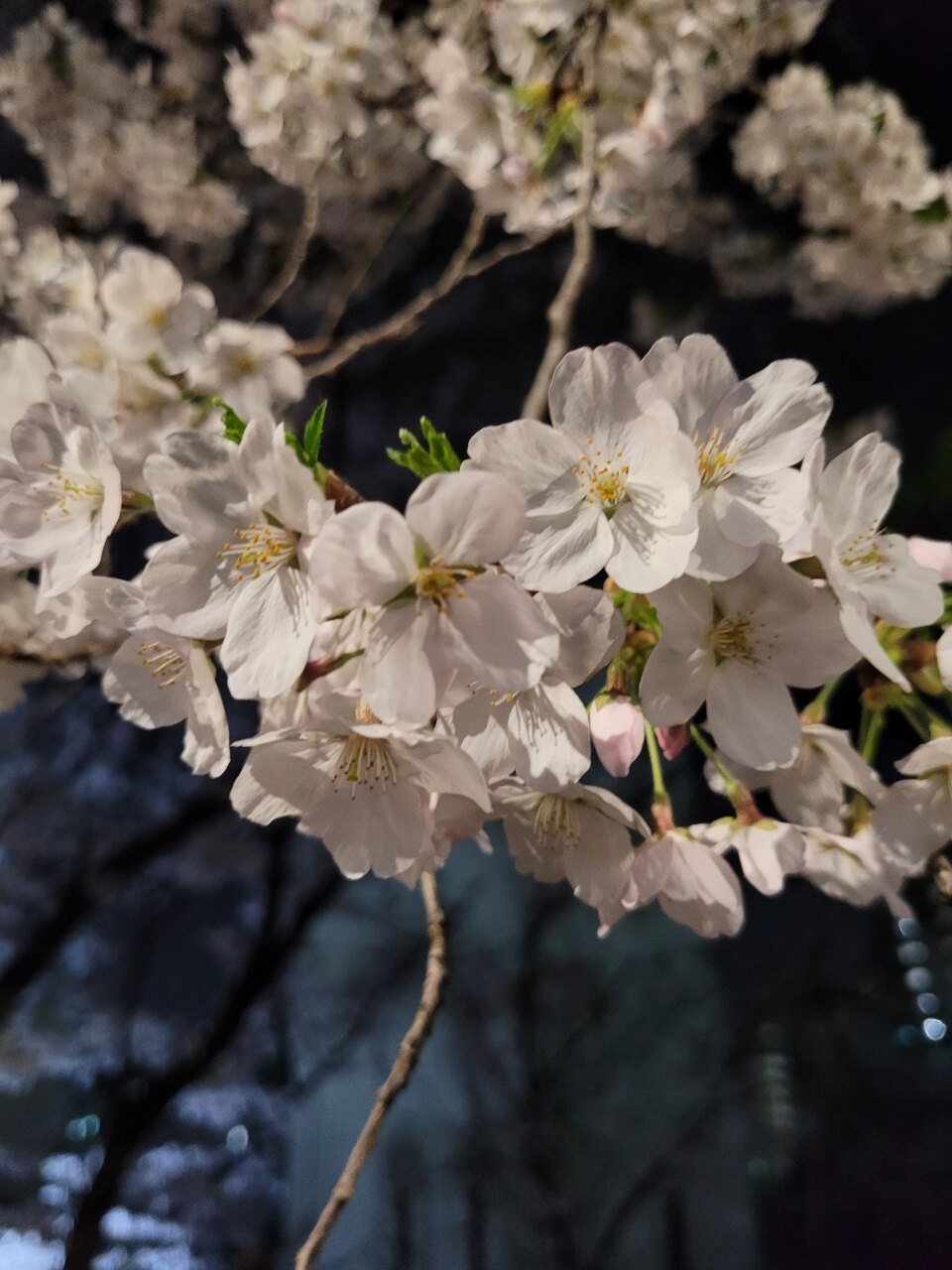 mk7975님의 서재