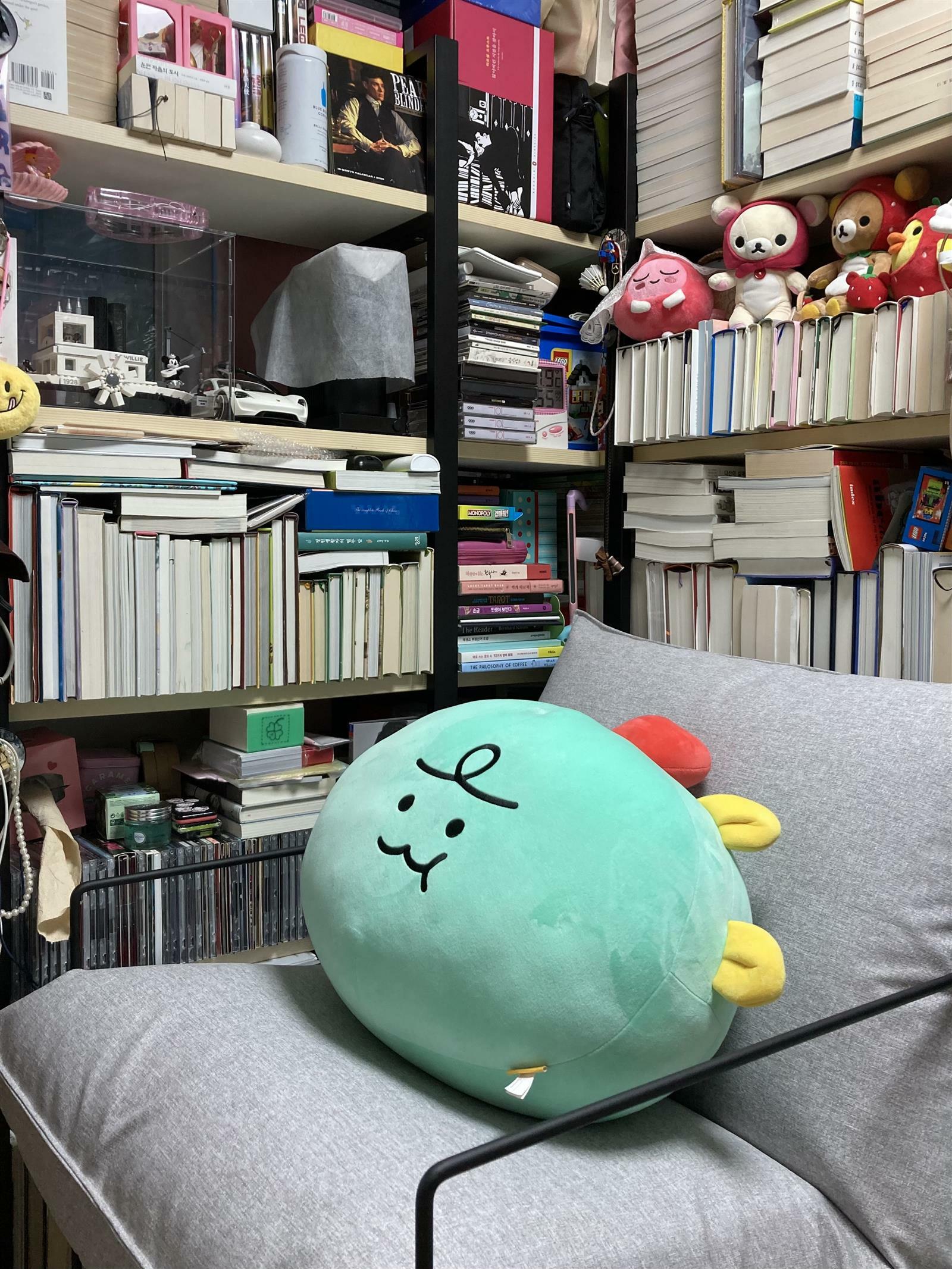 writerjin님의 서재