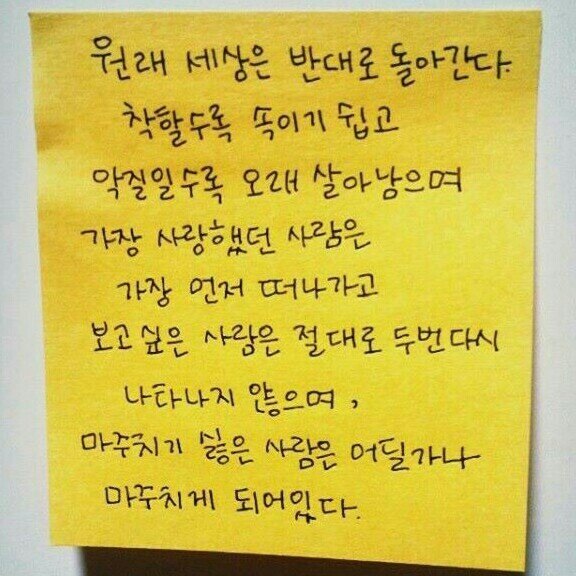 안드레아님의 서재