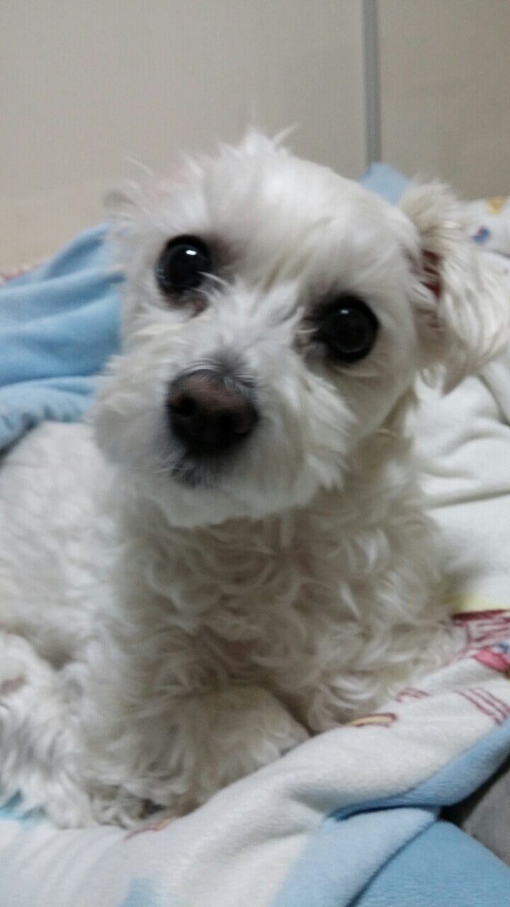 7tl40qns님의 서재