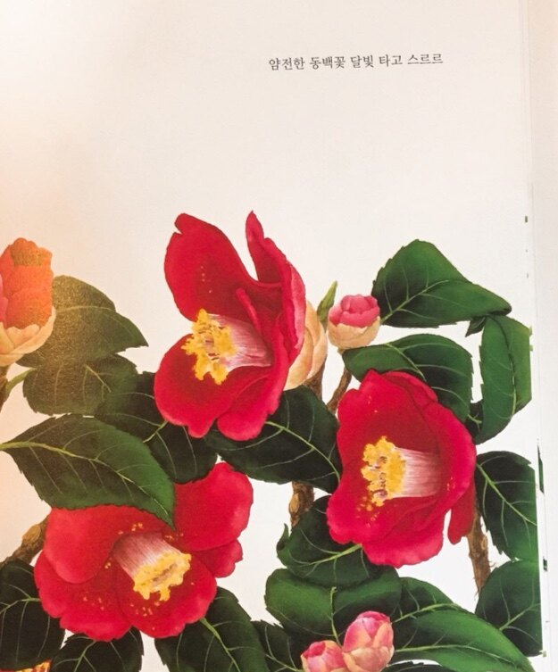 초록과동백