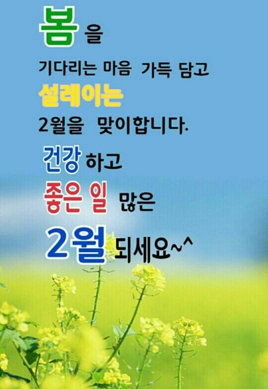 금선님의 서재