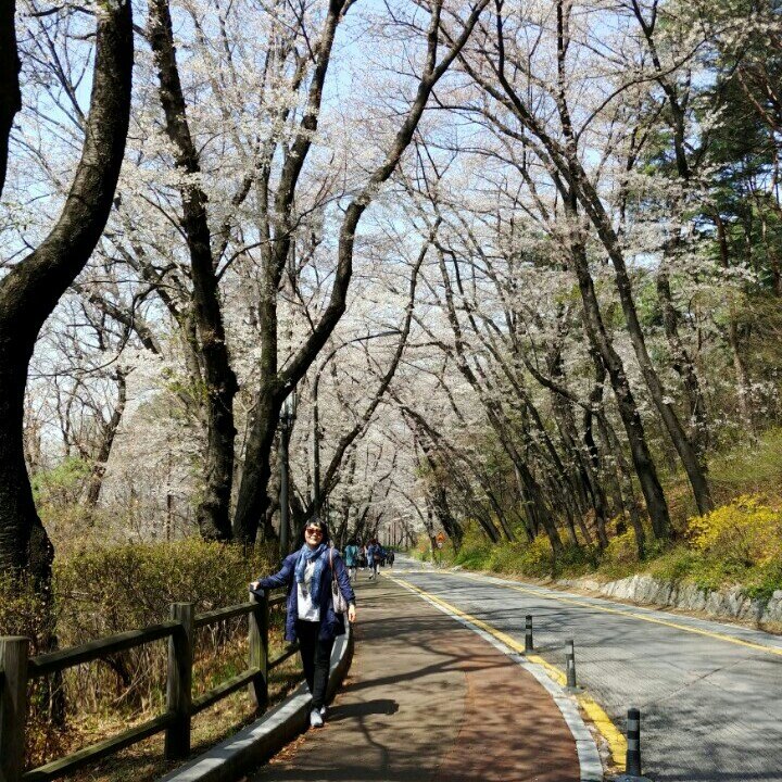 이용운님의 서재