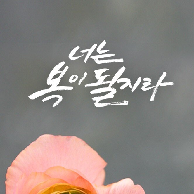 horri1211의 서재