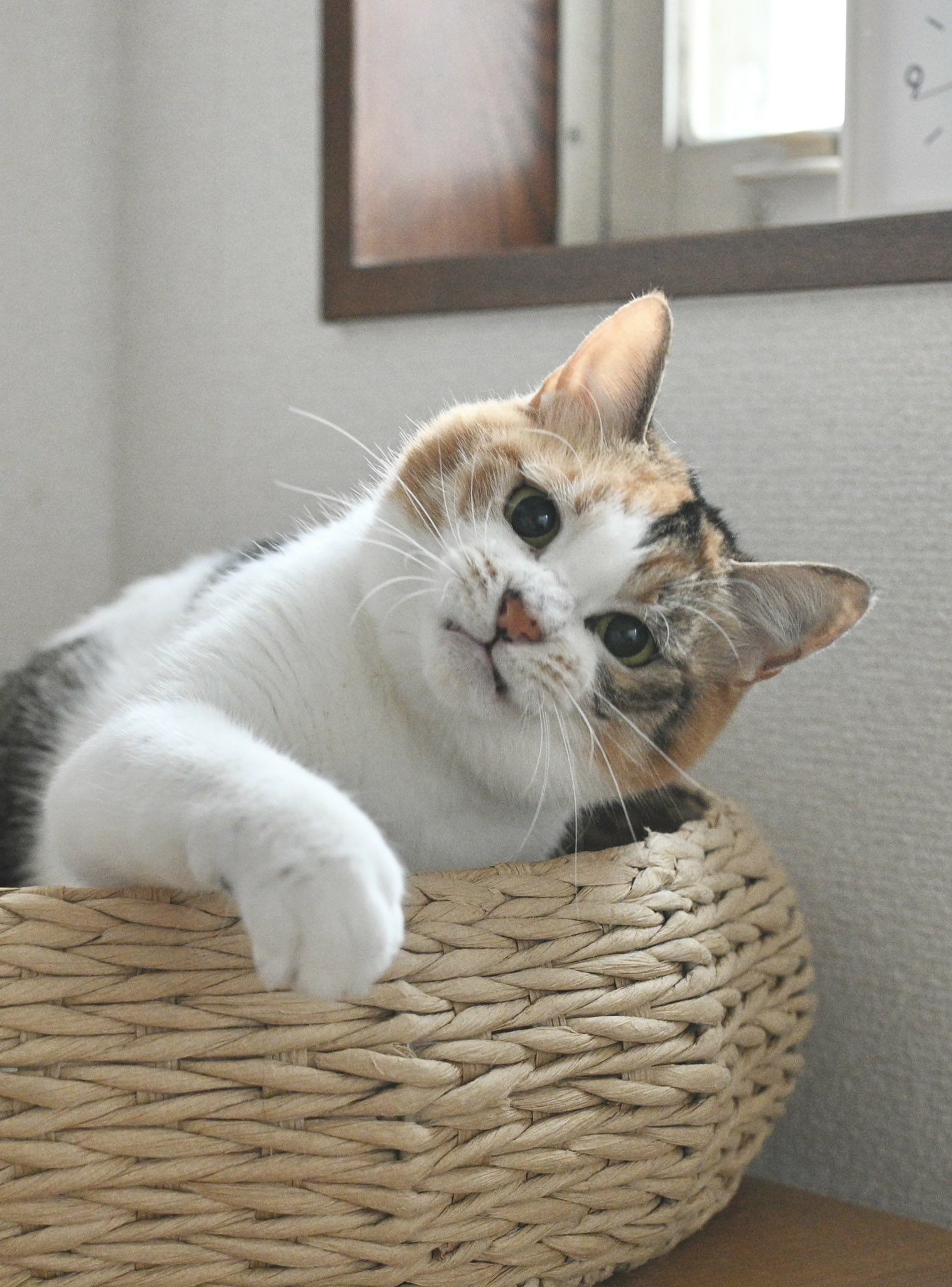 때때로