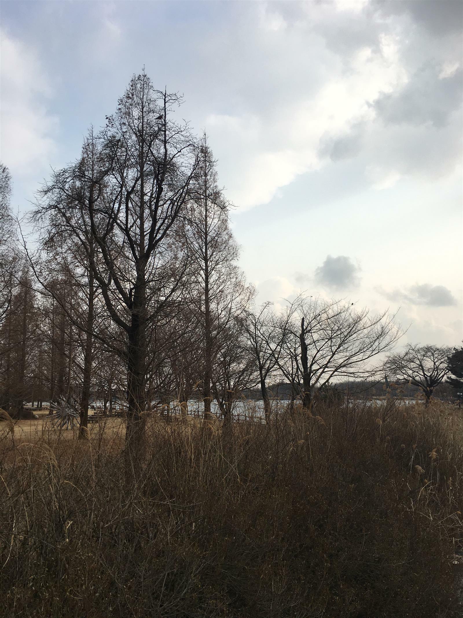 동동님의 서재