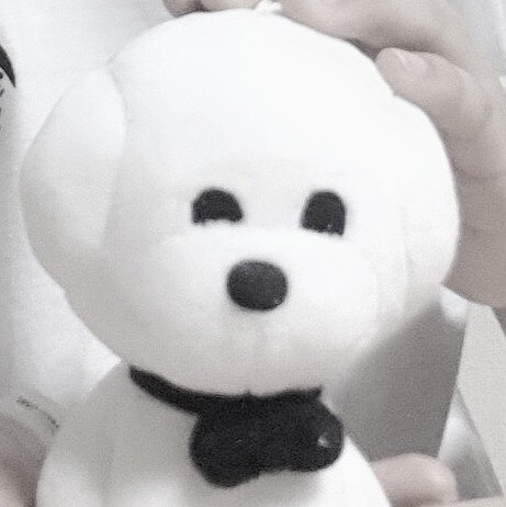 쏭님의 서재