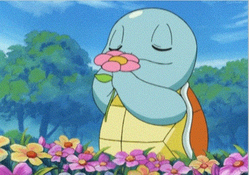 turtle님의 서재