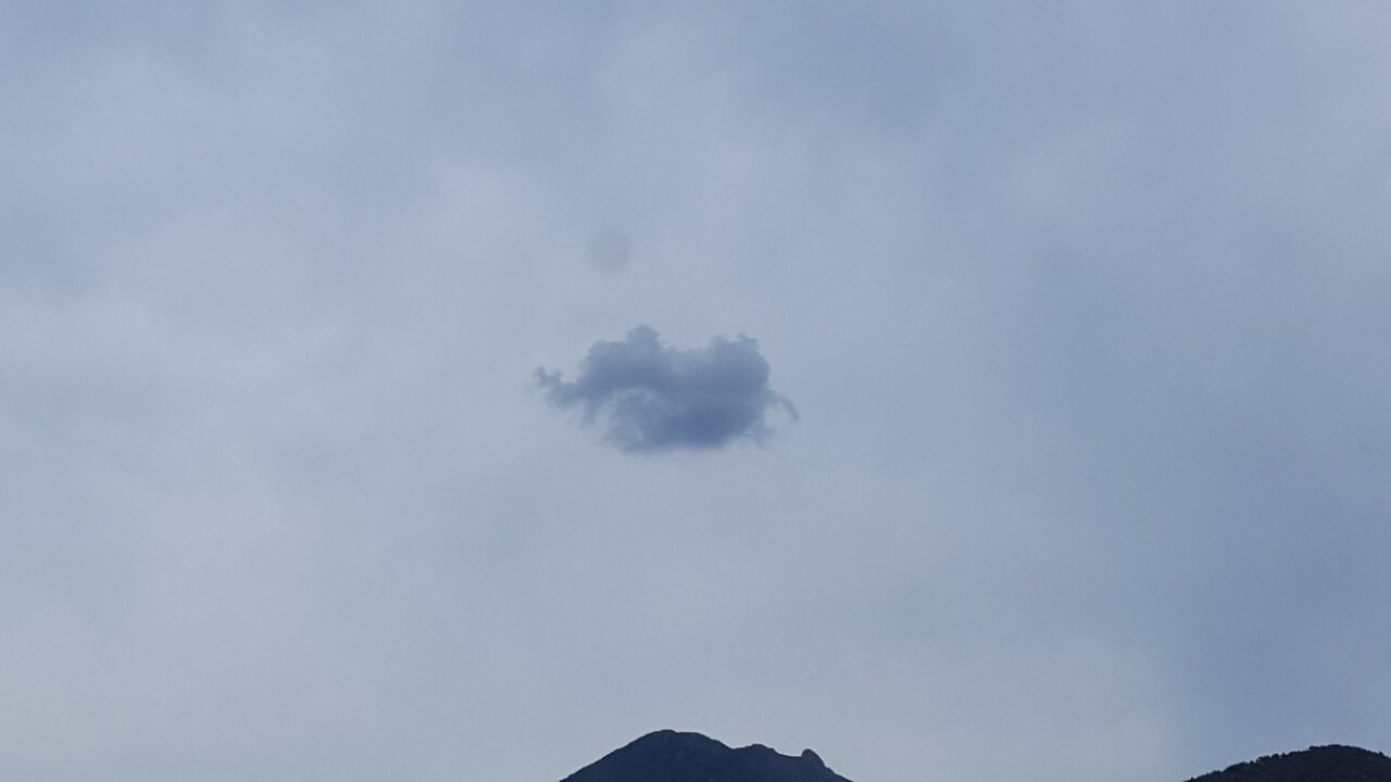 알라딘회원님의 서재