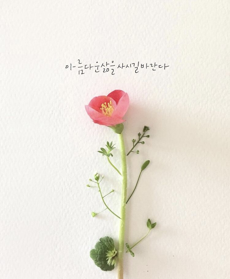 달무리님의 서재