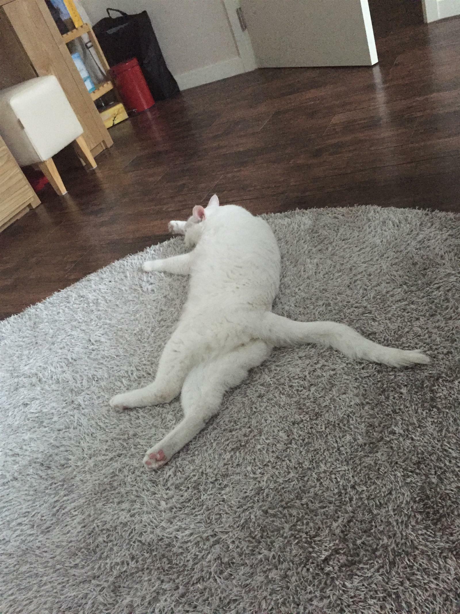 도깨비님의 서재
