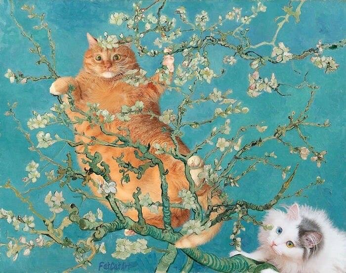 whdmsquf0521님의 서재