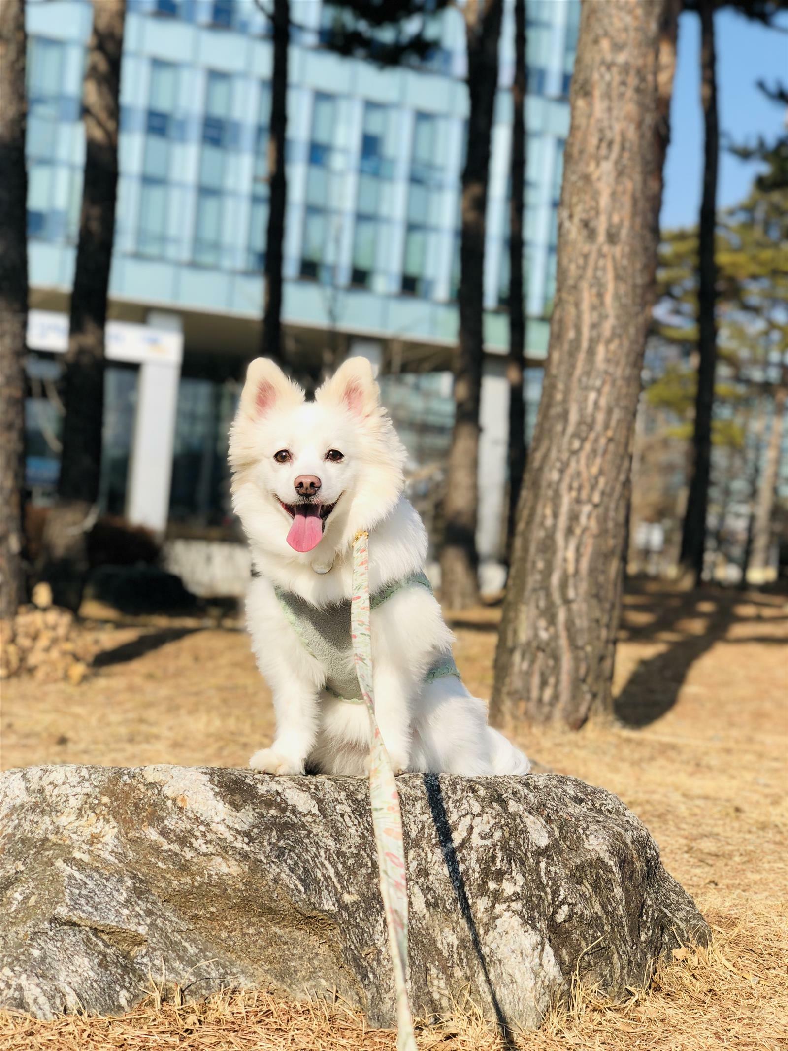 서나현님의 서재