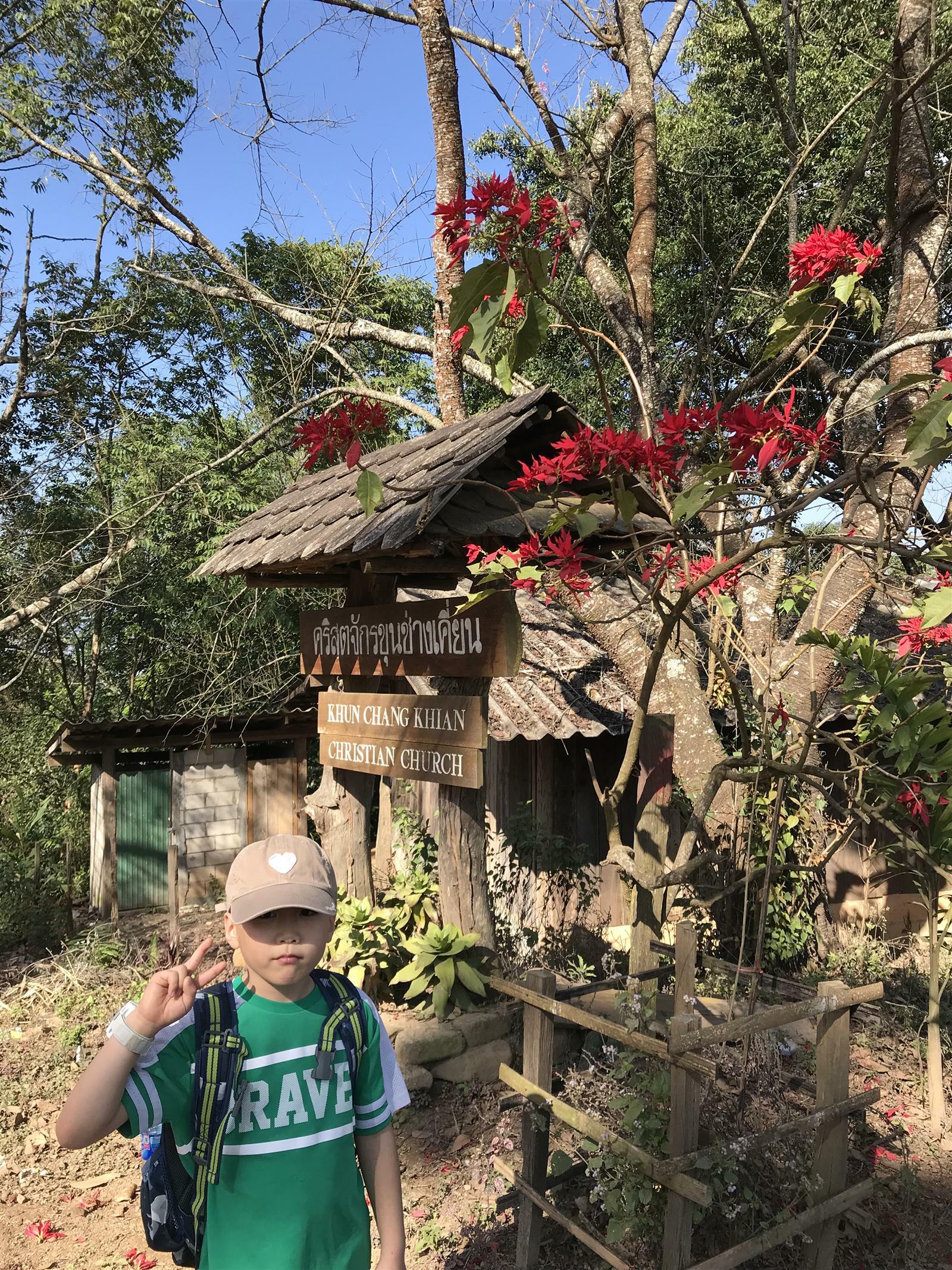 아기느티나무님의 서재