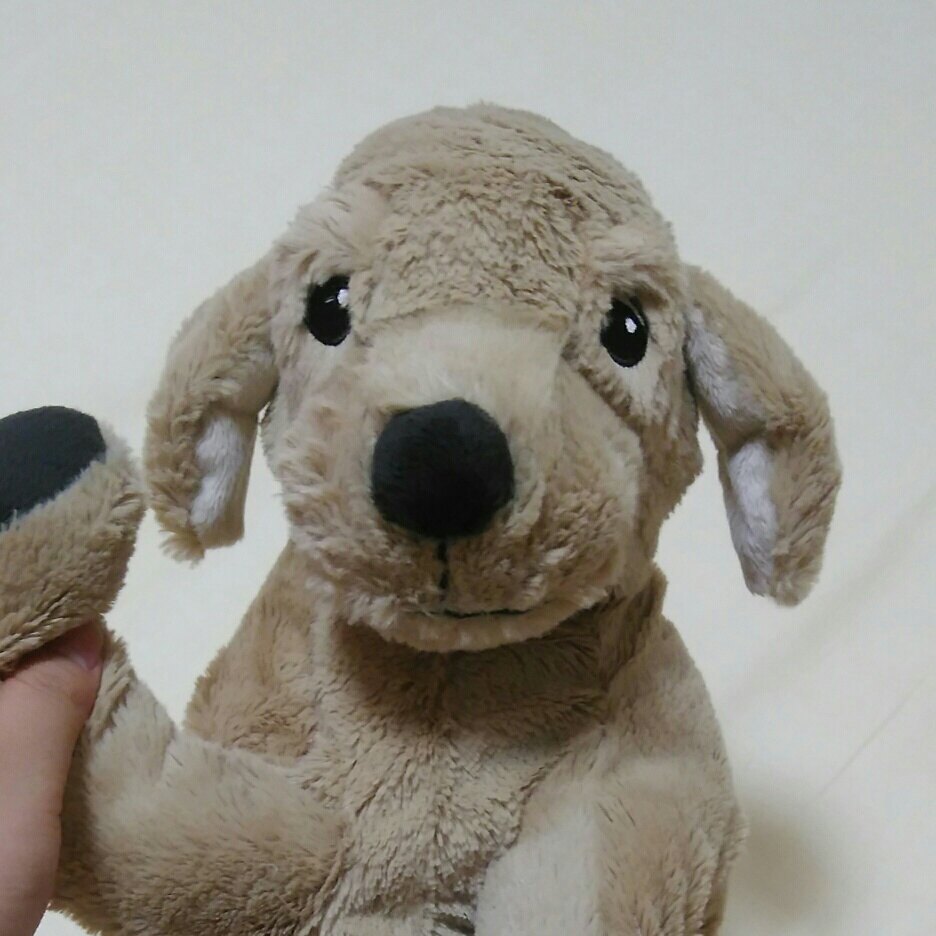 읽자