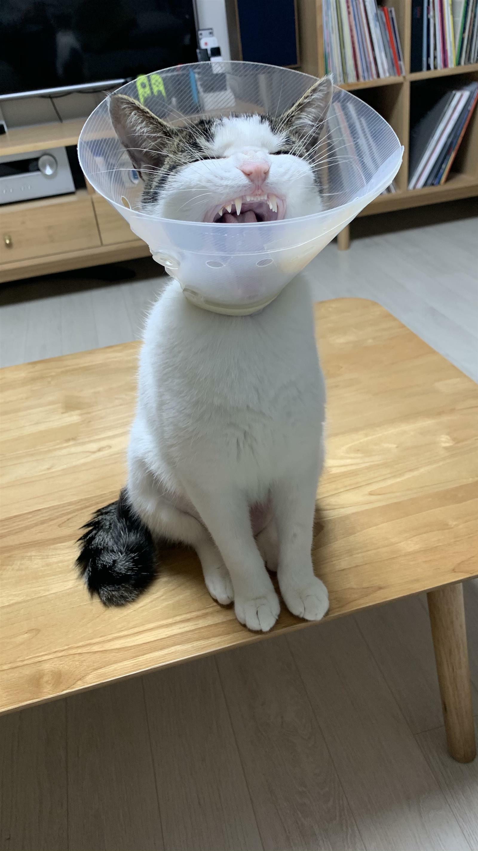 찌니둥둥