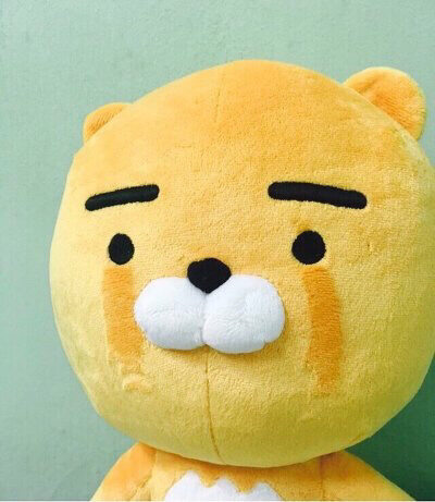 코코아님의 서재
