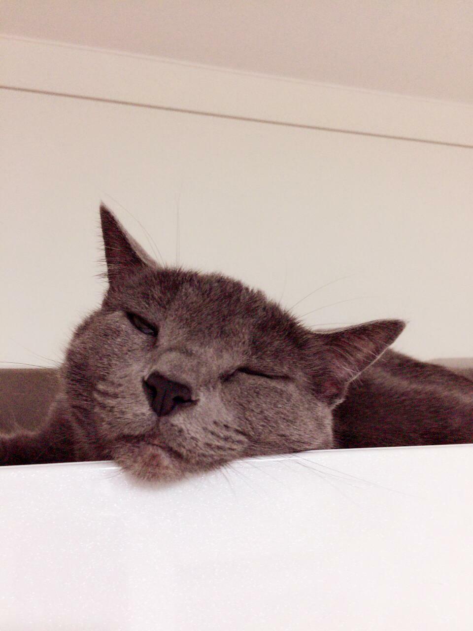 김문영님의 서재