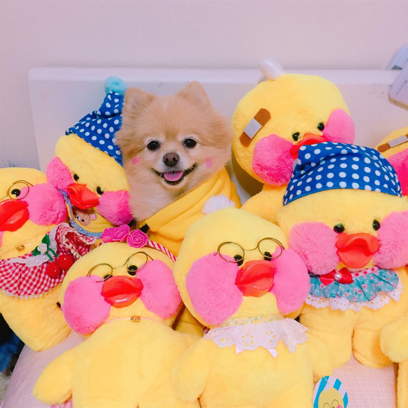 매리님의 서재